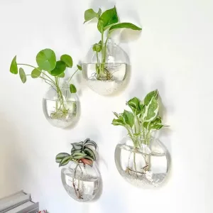 2/4/6 Pack Wall Hanging Glass Terrarium - Self-Watering Hydroponic Planter for Home Office Decor, Handmade Round Crystal Vase