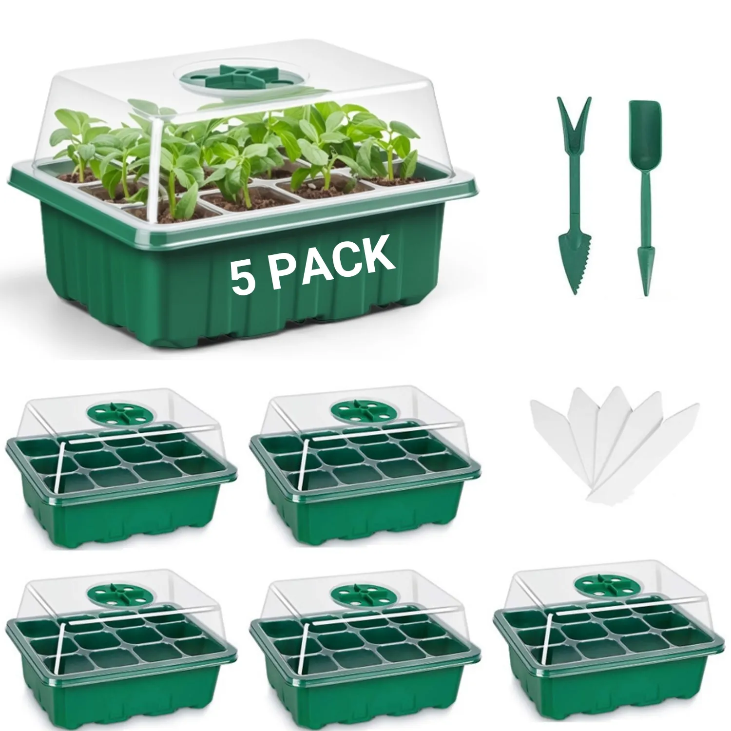 Green-5 Pack